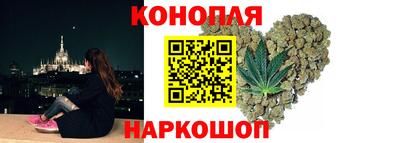 сатива Малгобек