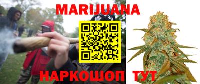 сатива Малгобек