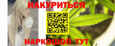 сатива Малгобек