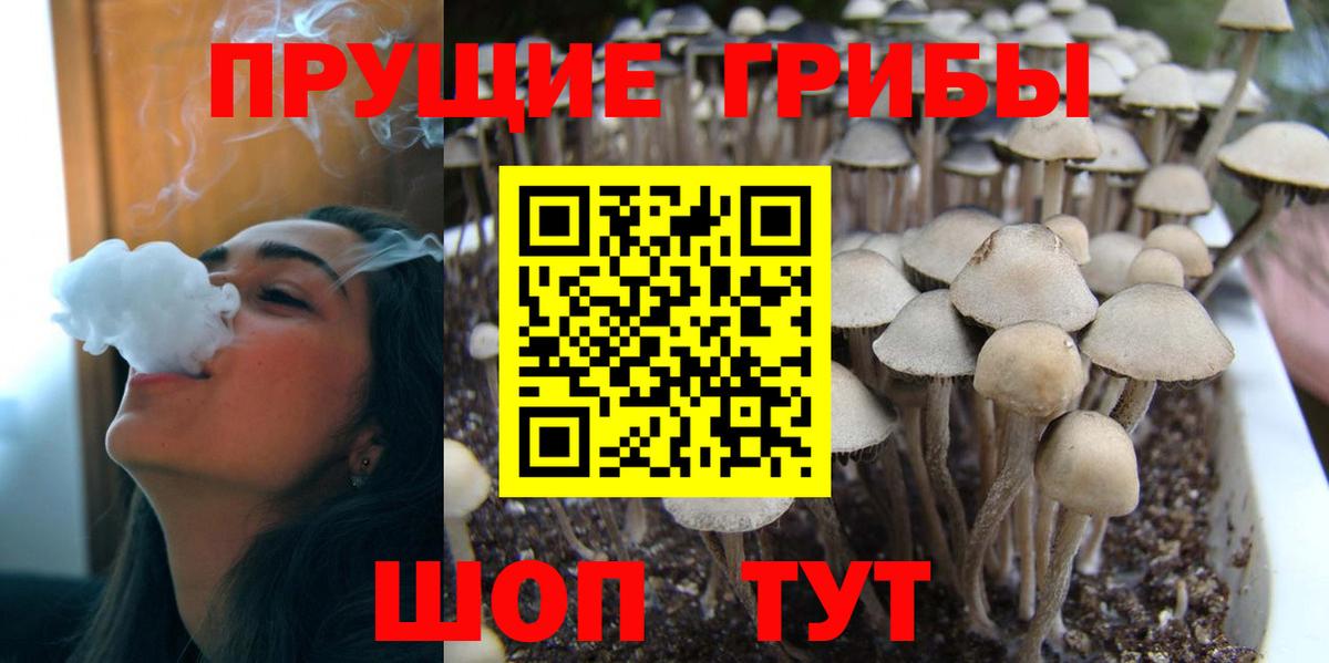 Псилоцибиновые грибы ЛСД  Галлюциногенные грибы Psilocybe  Вход с VPN  Железноводск 